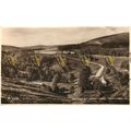 Bridge of Brown, Nr Tomintoul, Scotland, RP Val...