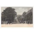 Acre Lane Brixton Postcard London Stengel & Co ...