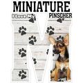 I Love My Miniature Pinscher Dog Fridge Magnet