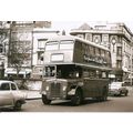 Black & White Photograph of Northampton Corpora...