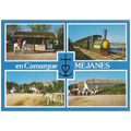 13 - MEJANES - CAMARGUE
