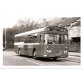 Black & White Photograph of Maidstone & Distric...