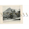 Gardens, Mt Corcovado, Rio de Janeiro, Brazil, ...