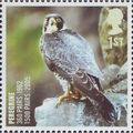 GB 2007 Action for Species Birds 1st Peregrine ...