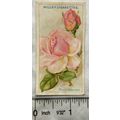 1926 Wills Roses No. 43 Muriel Adamson
