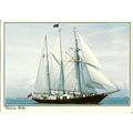 Sailing Ship MALCOLM MILLER Postcard (J. Arthur...