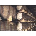 GB PC - St. Georges Whiskey Distillery, Norfolk