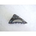Triangle abalone sea shell effect iridescent ha...