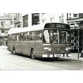 Black & White Photograph of Northampton Corpora...