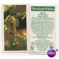 Brooke Bond Tea card Woodland Wildlife series n...