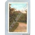 CT Meriden Postcard Road to Castle Craig Hubbar...