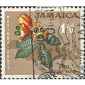 JAMAICA, FRUIT, FRUIT, Ackee, Blighia sapida, b...