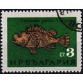 Bulgaria. 1965 3s S.G.1532 Used