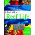 A Diver's Guide To Reef Life