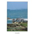 18 366: Normandie: La Pointe de la Hague (Coten...