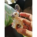 Cute Little Ceramic Dog