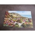 Valentines Art Postcard - Happy Valley Llandudn...
