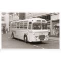 Black & White Photo of Maidstone & Dist. Motor ...