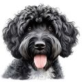 124 Portuguese Water Dog Poster Canvas Movie Fi...