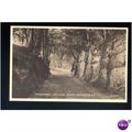 Sussex EAST GRINSTEAD Framport Hollow Postcard ...