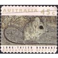 AUSTRALIA, MAMMALS, Long-tailed Dunnart, brown ...