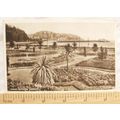 1947 postcard Torquay Abbey Gardens