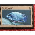 Malawi 1984 5t Blue Mbuna Unmounted Mint NHM SG...