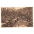 Rustic Old Bridge Tarr Steps Exmoor Postcard So...