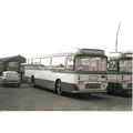 Black & White Photograph of Potteries Motor Tra...