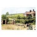 ptc6813 - Yorks - An early view, Kids at Castle...