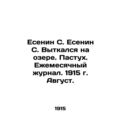 Yesenin S. Yesenin S. weaved in the lake. The s...
