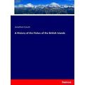 A History of the Fishes of the British Islands