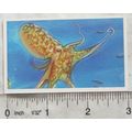 Brooke Bond Going Wild No. 7 Octopus, Wildlife ...