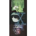 The X Files TV Show Humbug Episode He Is One 3x...