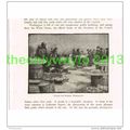 OUTSIDE THE MARKET, WASHINGTON, USA, BOOK ILLUS...