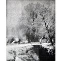 NEAR THE WATER MILL - WINTER 1893 Louis Apol PRINT
