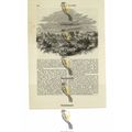 Laforce, France, Book Illustration (Print), 1856