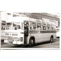 Black & White Photograph of Southern National O...
