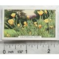1938 Gallaher's Garden flowers No. 9 California...