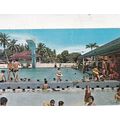 Chinese Swimming Club Pool Singapore Postcard u...