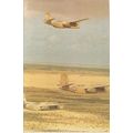 Douglas Boston 111 Bombers Desert WW 2 Reproduc...