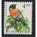 Belgium Common stonechat Bird Buzin 'Traquet pa...