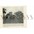 Straw Cottages, Salamanca, Mexico, Book Illustr...