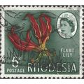 RHODESIA, FLOWER, Gloriosa, Flame Lily, green 1...
