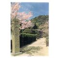 SUMA-DERA TEMPLE, KOBE, JAPAN used postcard =