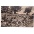 floral clock PRINCES STREET GARDENS EDINBURGH. ...
