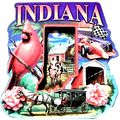 Indiana Montage Artwood Fridge Magnet