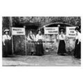 rp02803 - Norwich Suffragettes at Flower Festiv...