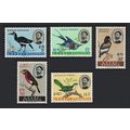 Ethiopia Hornbill Roller Bateleur Barbet Cuckoo...