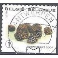 Belgique 2007 Michel 3747 O Cote (2008) 1.70 € ...